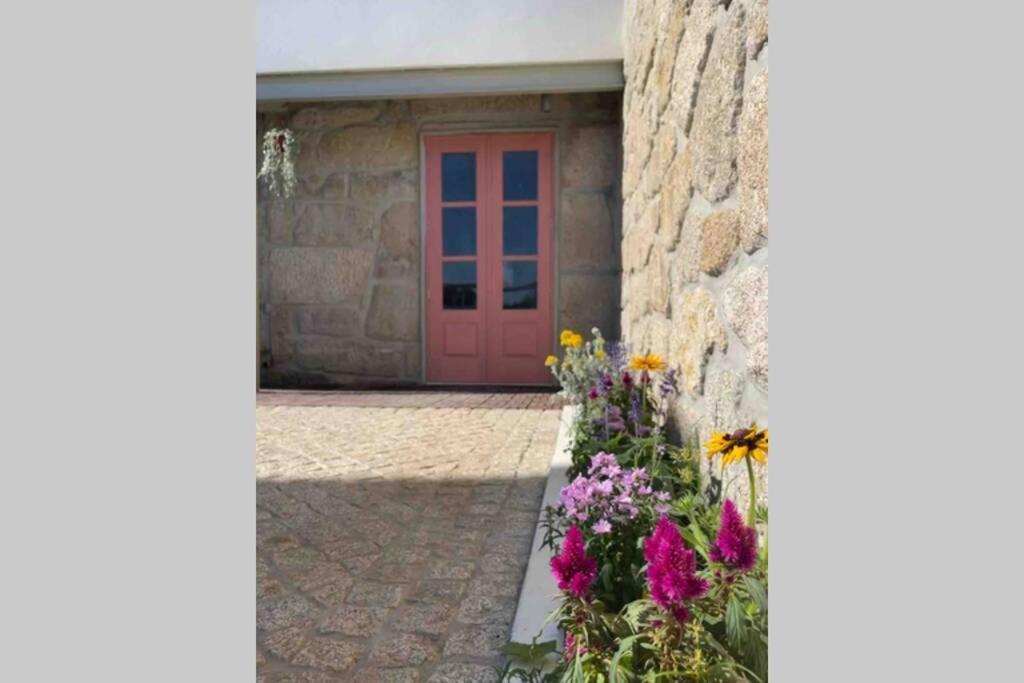 Villa Porto-braga Family